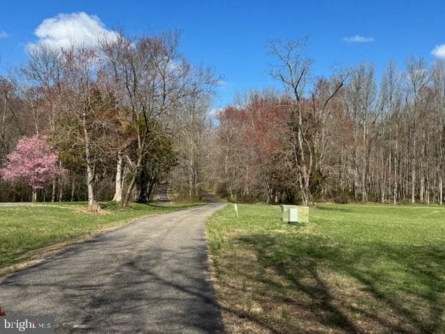 72 Shady Beach Road photo 41