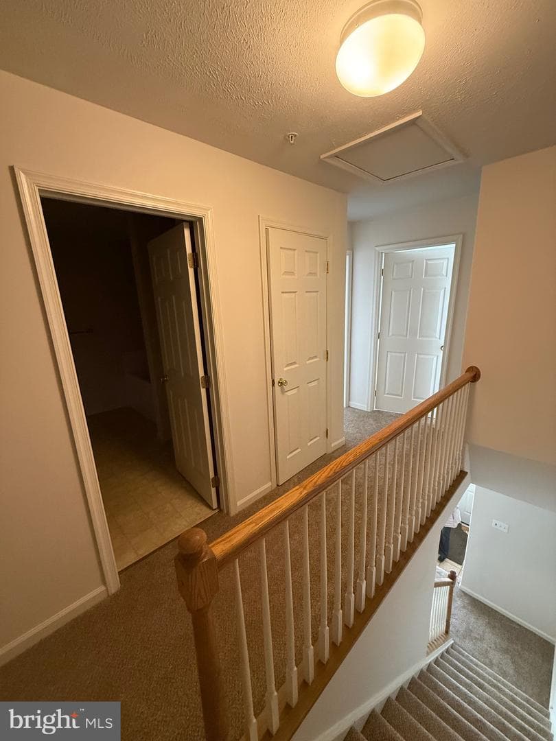 294 Mike Drive photo 34