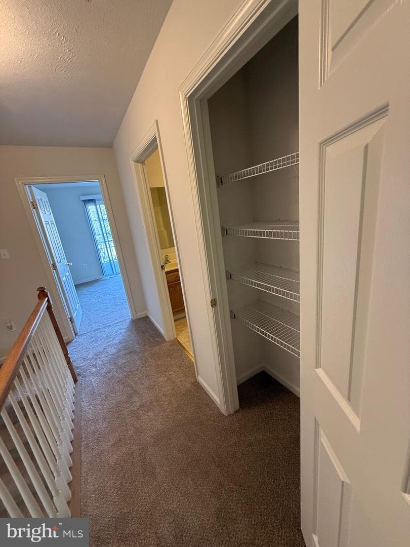 294 Mike Drive photo 46