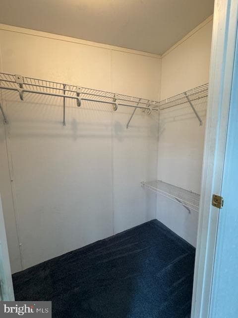 167 Woods Way photo 15