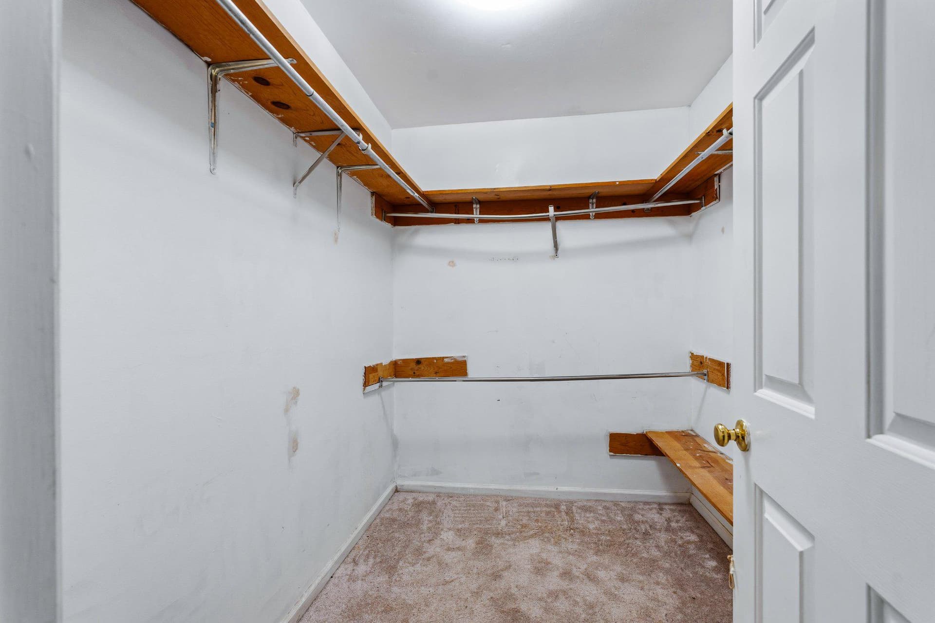 320 Cecil Street photo 18