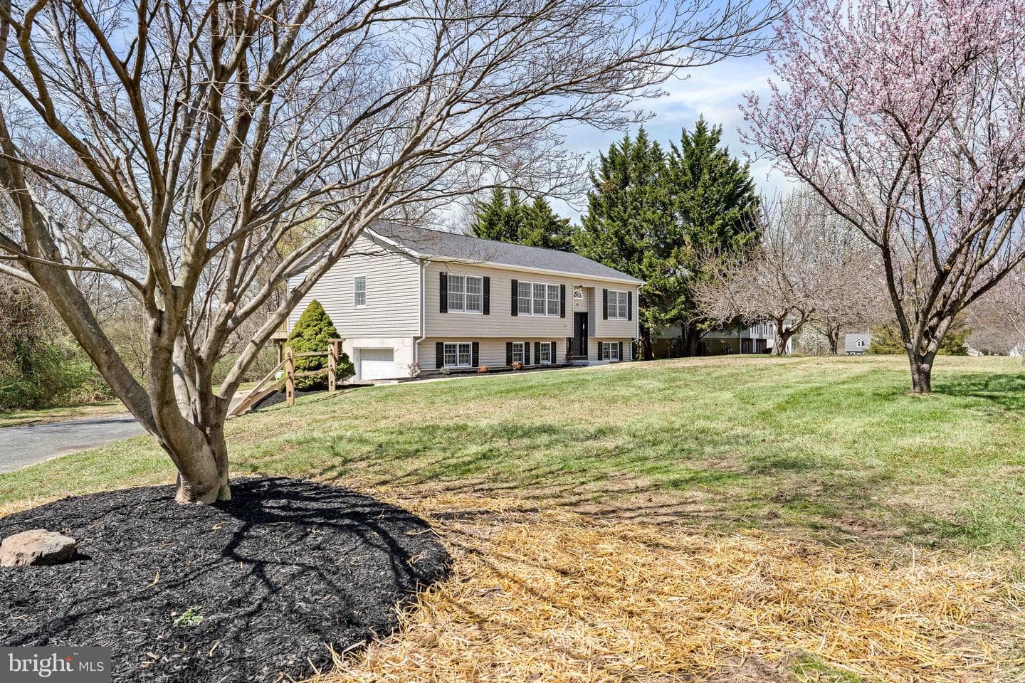 114 Creswell Avenue photo 2