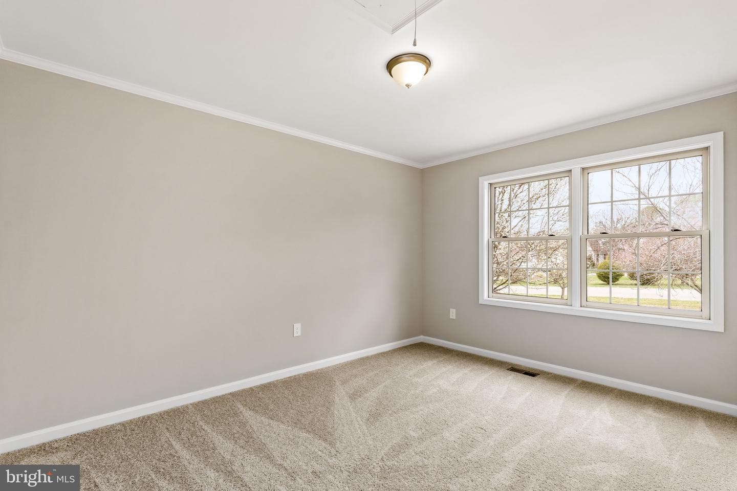 114 Creswell Avenue photo 20
