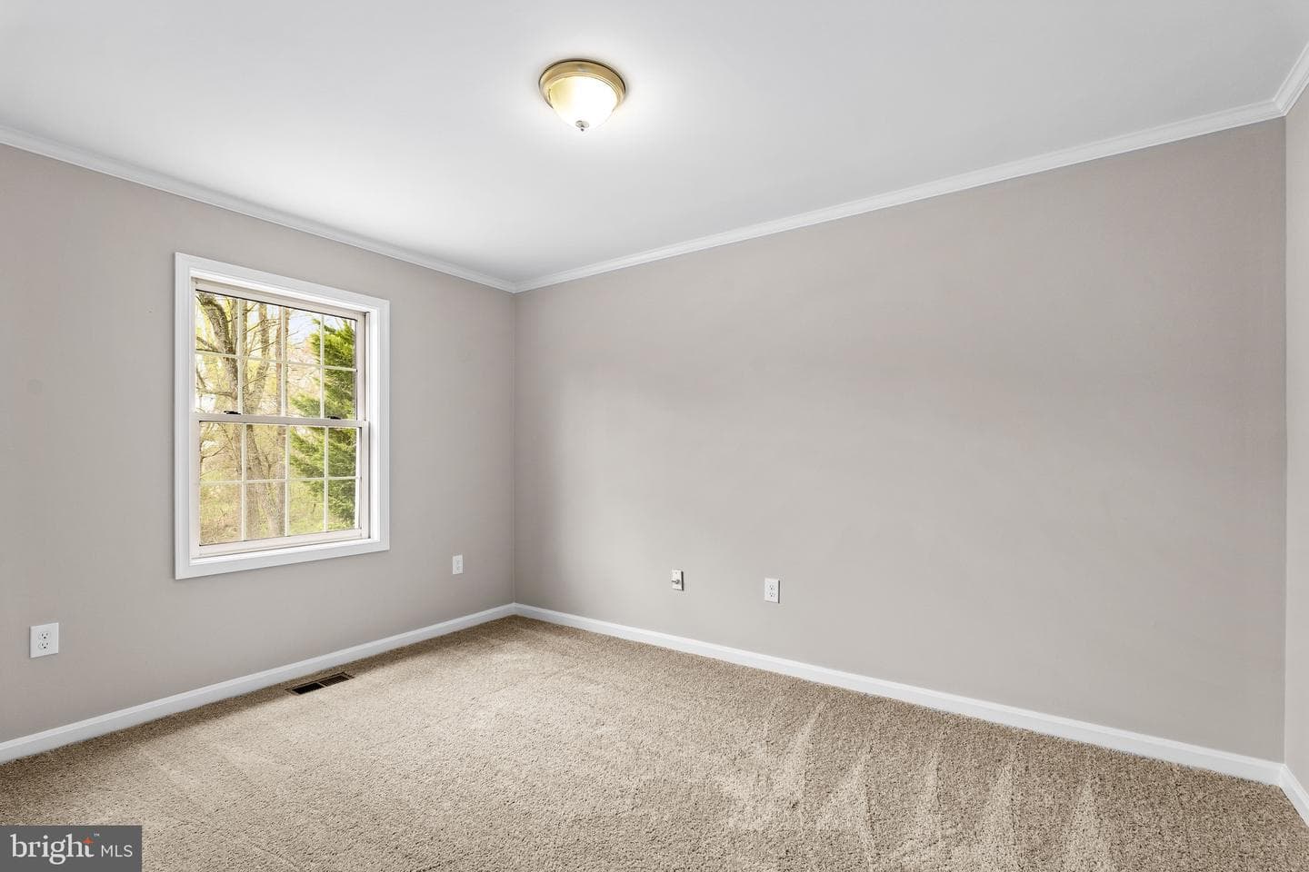 114 Creswell Avenue photo 21
