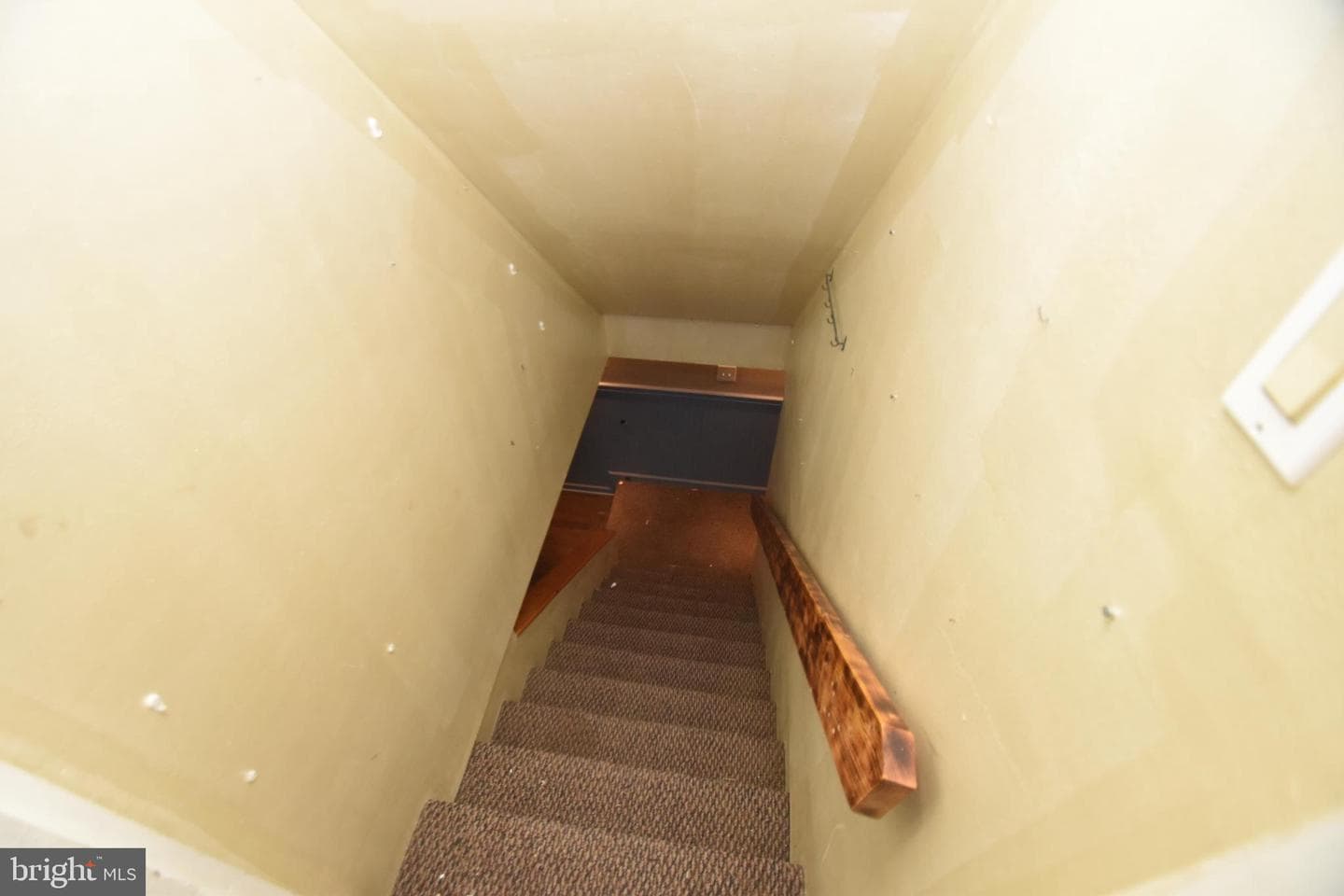 107 Chestnut Dr photo 28
