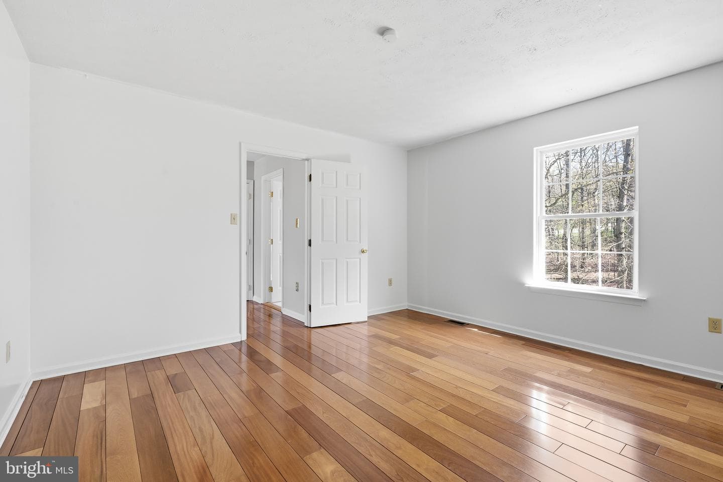 118 Liberty Lane photo 21