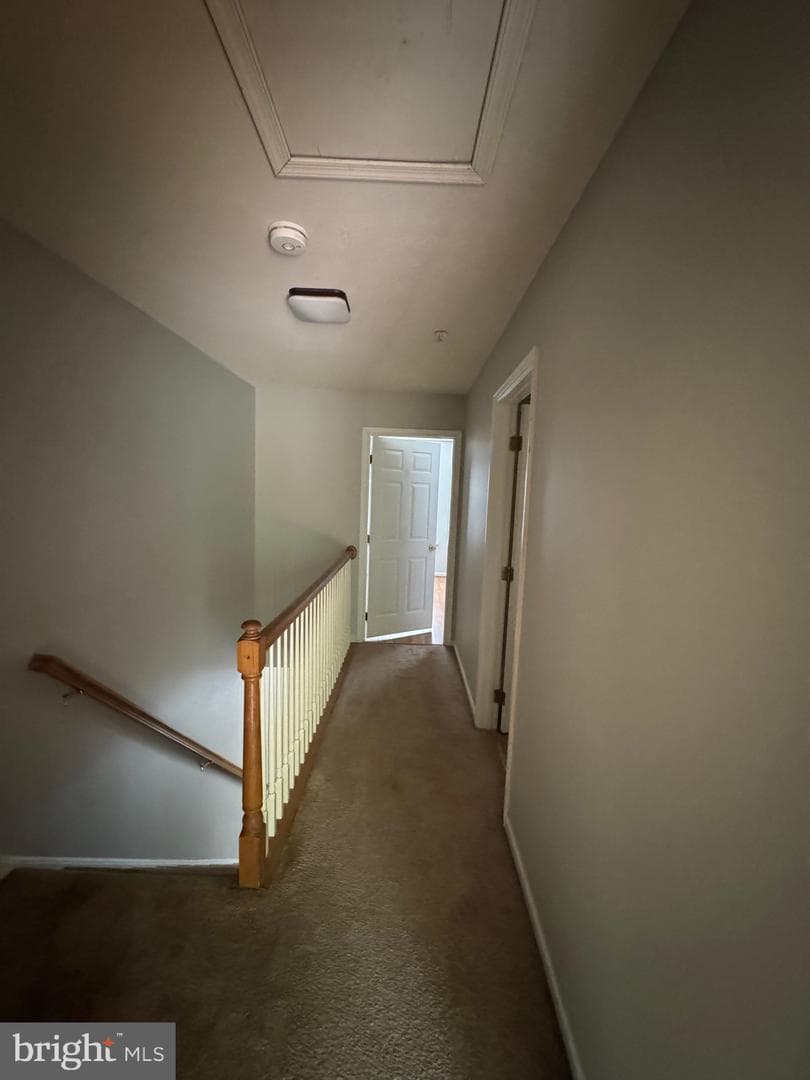 240 Mike Drive photo 13