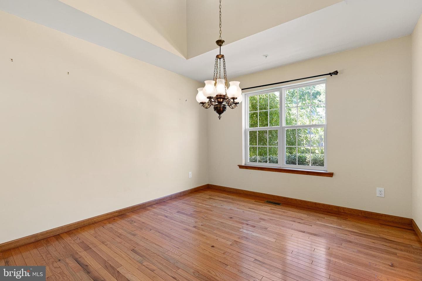 45 Thyme Street photo 8