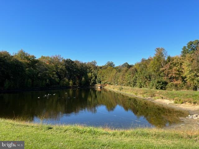 123 Woods Way photo 54