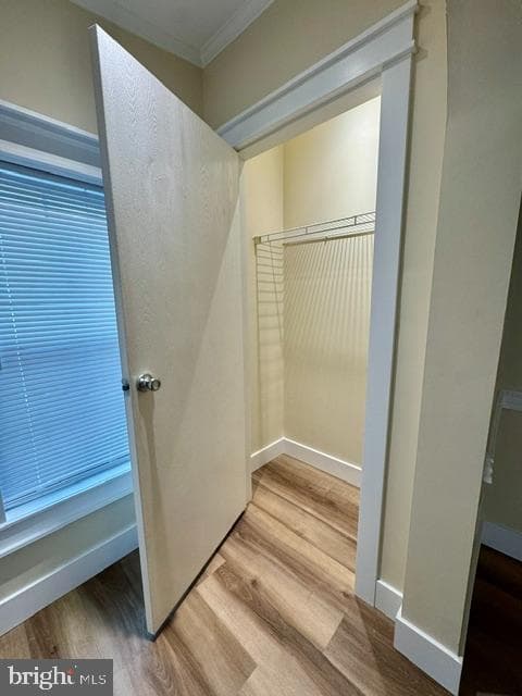 123 Woods Way photo 8