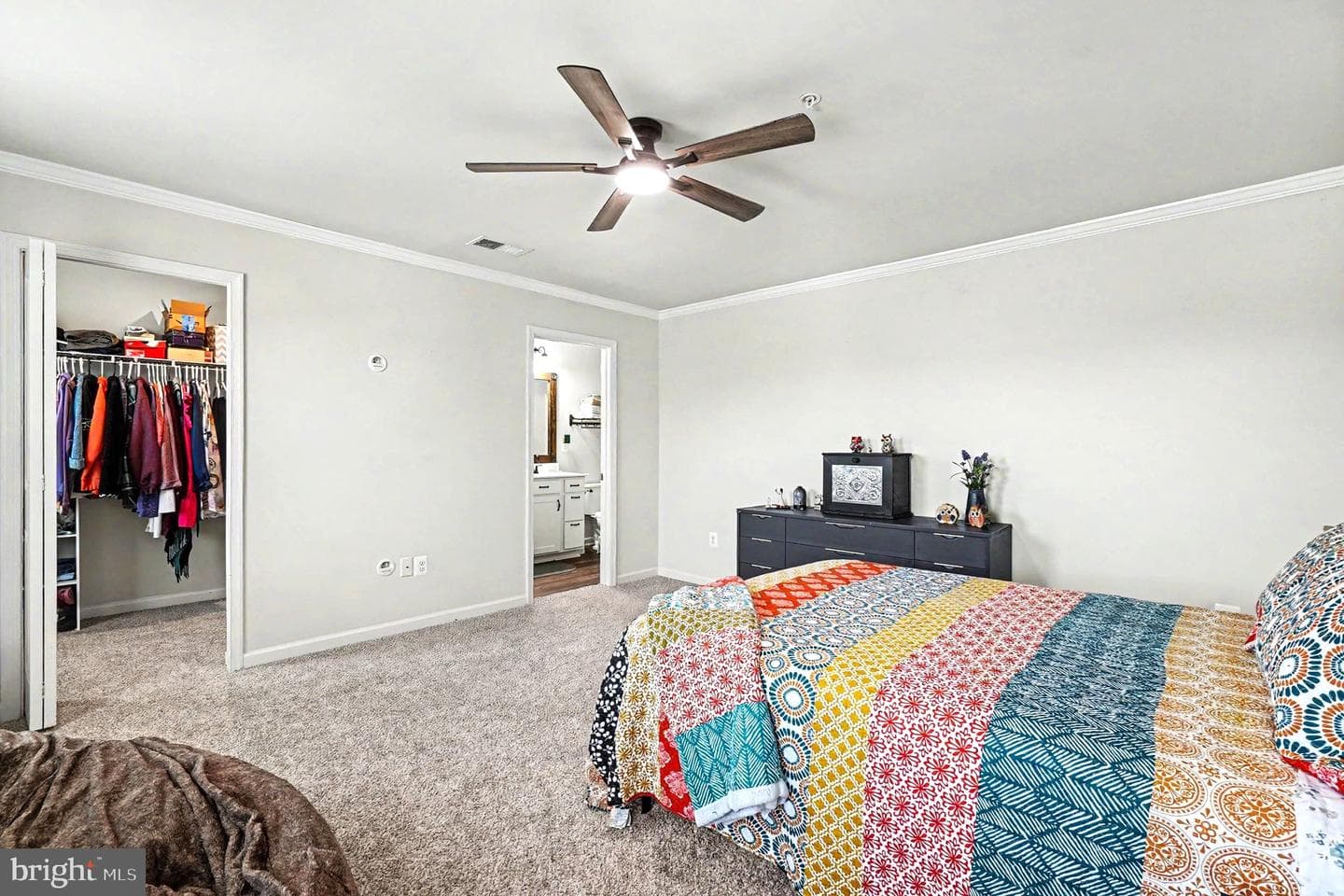 17 Viburnum Avenue photo 10