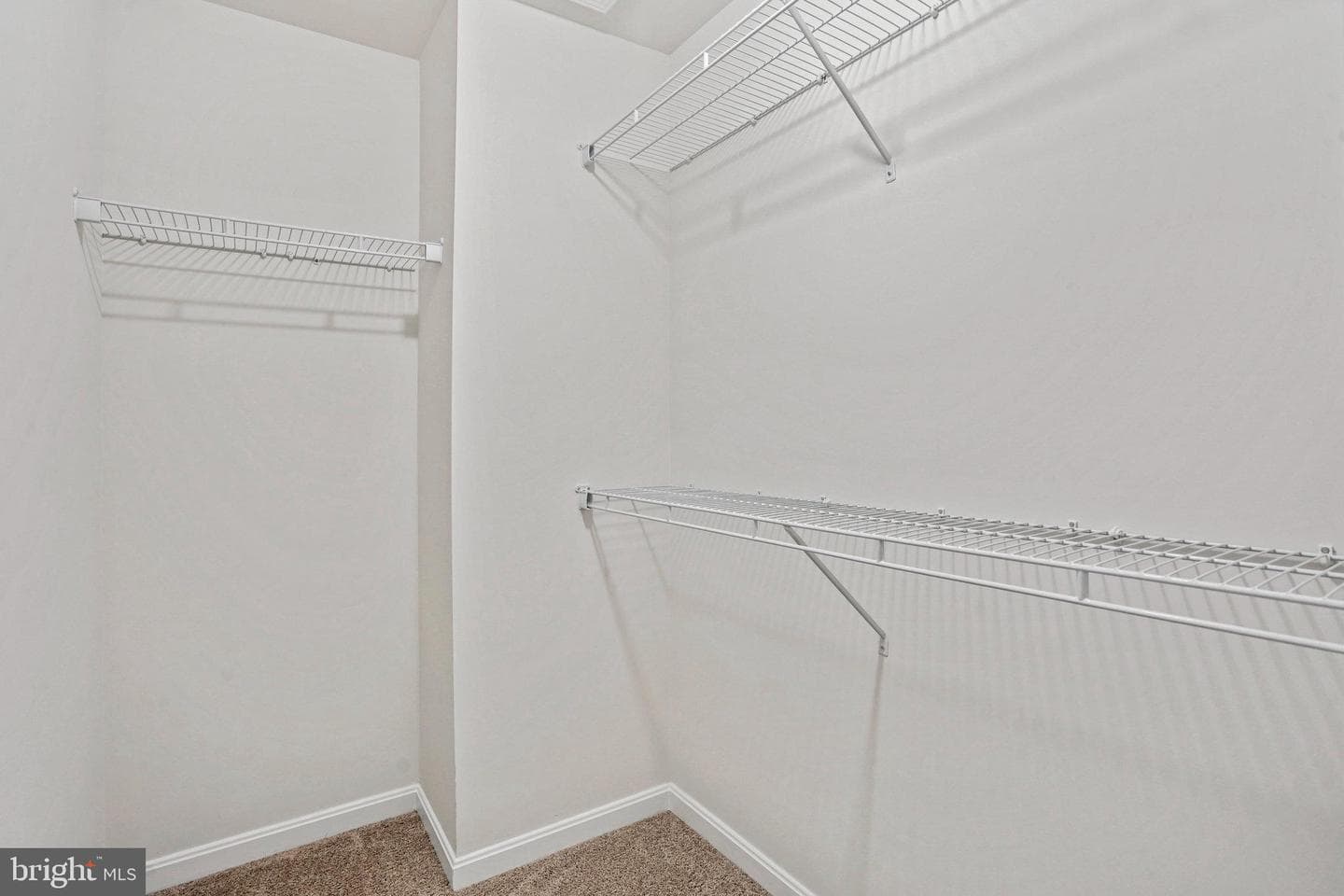 136 Catalpa Drive photo 24