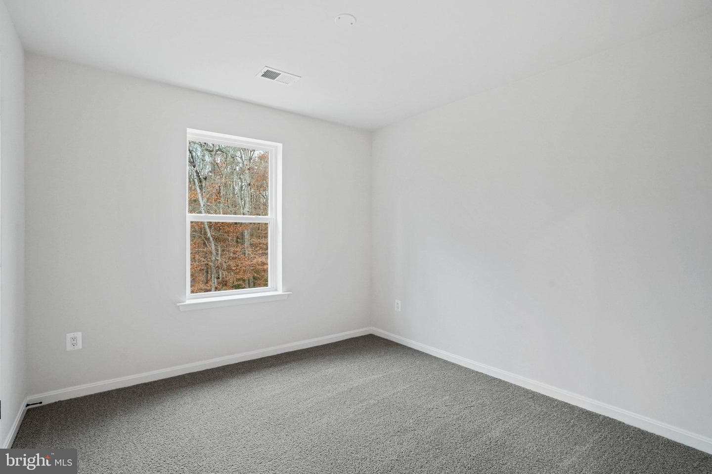 136 Catalpa Drive photo 34