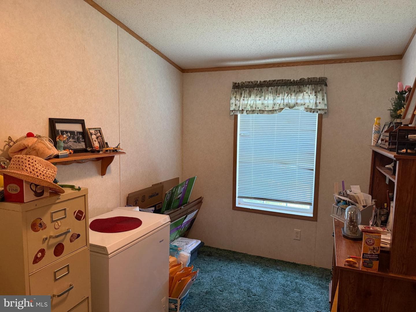 34 Buddy Blvd photo 12