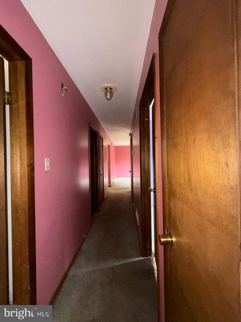 5 Brandywine Place photo 27