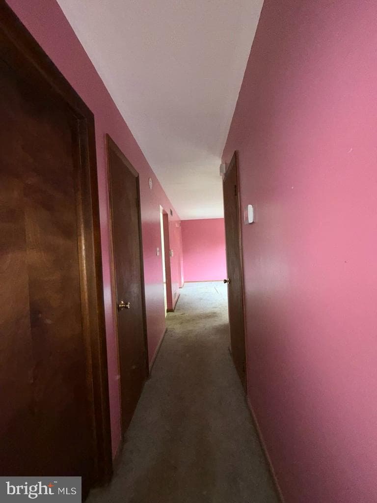 5 Brandywine Place photo 31