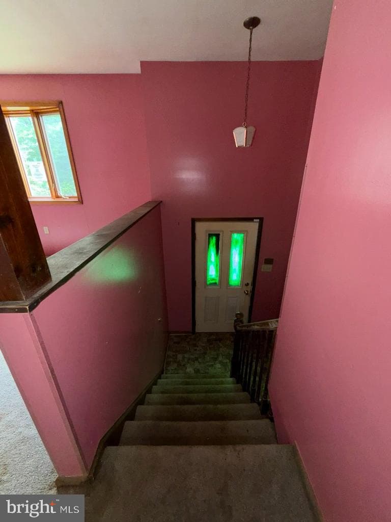 5 Brandywine Place photo 32
