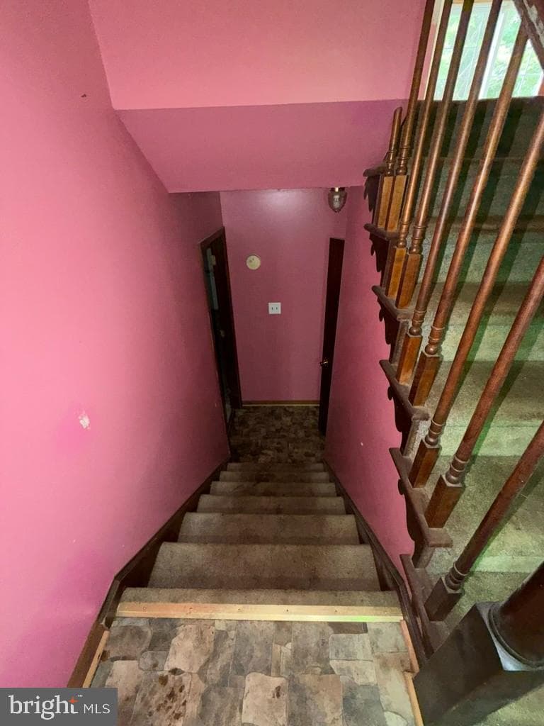 5 Brandywine Place photo 33