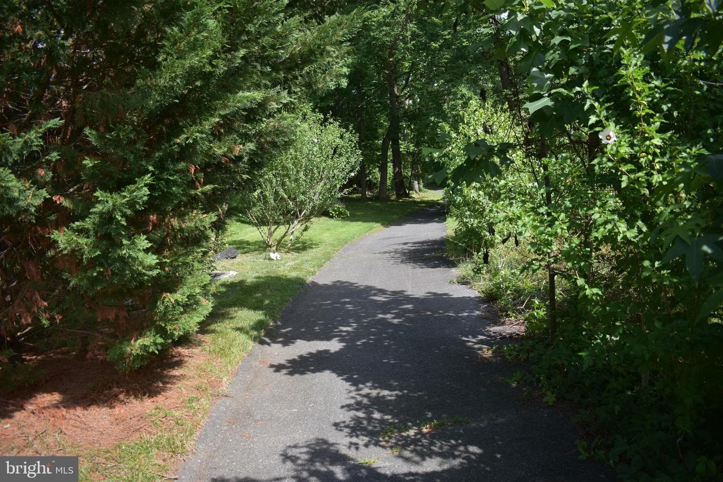 34 Guilford photo 26