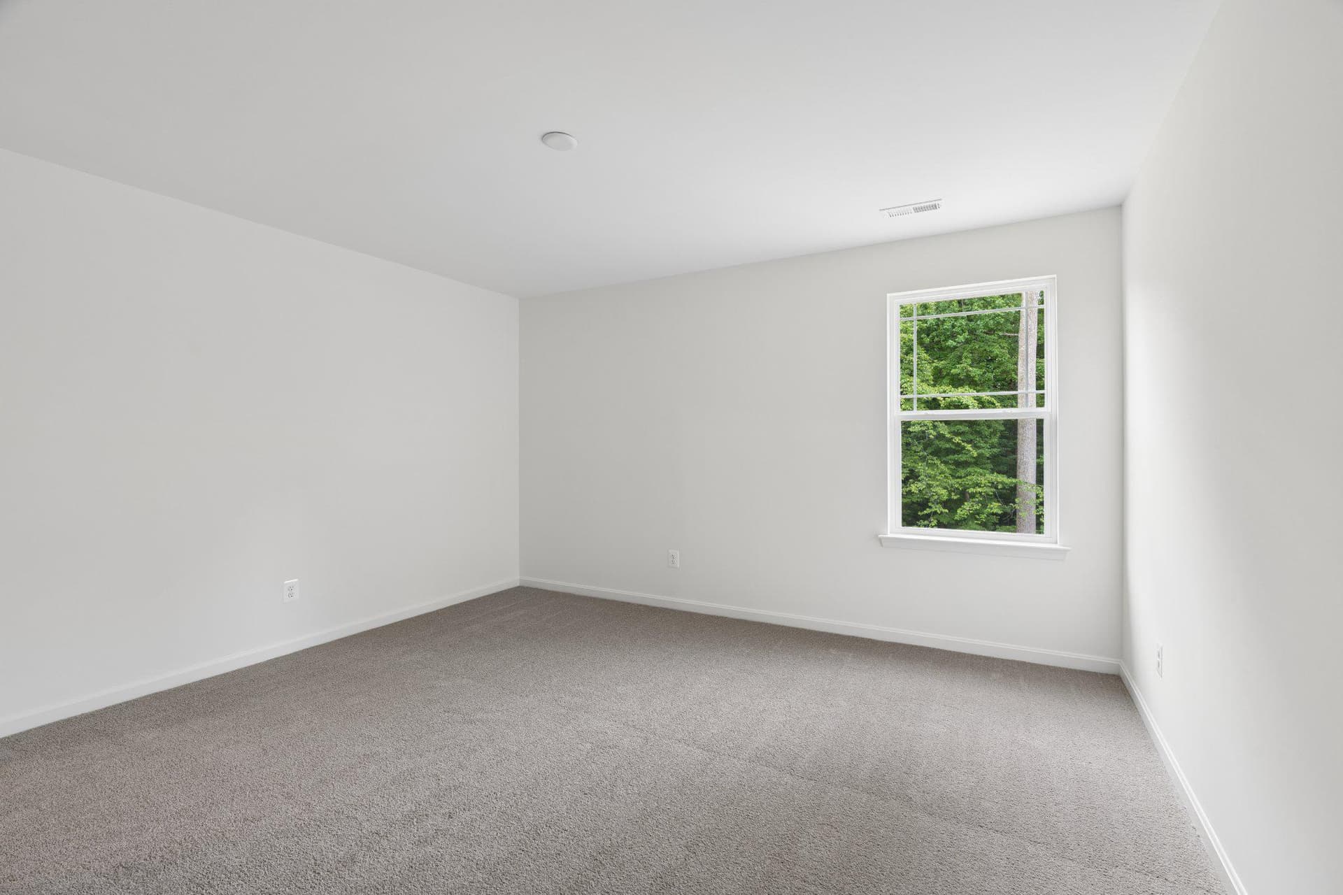 175 Fred Dr photo 26