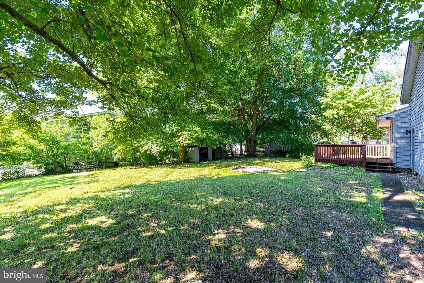 242 Courtney Drive photo 5