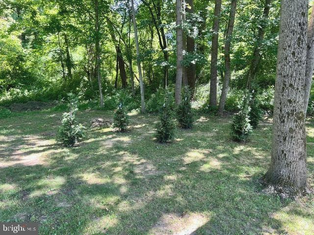2316 Theodore Road photo 16
