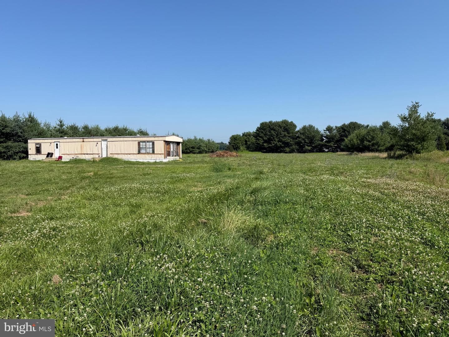 42 Lamborn Lane photo 15