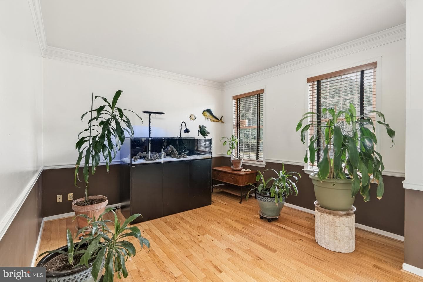 28 Watson Way photo 14