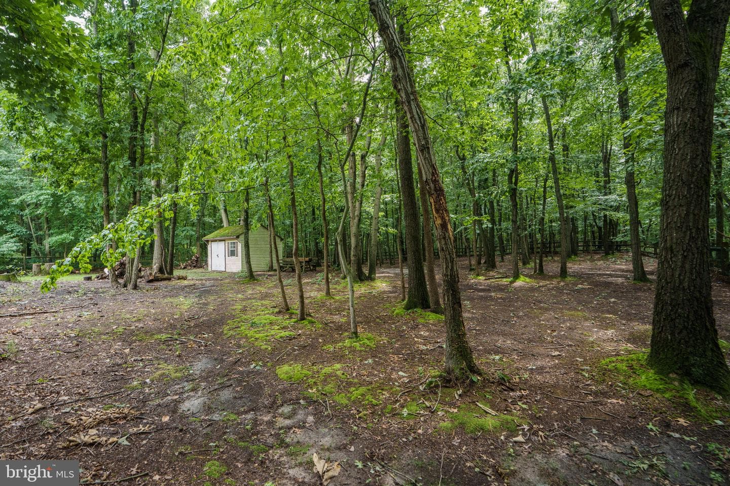28 Watson Way photo 40