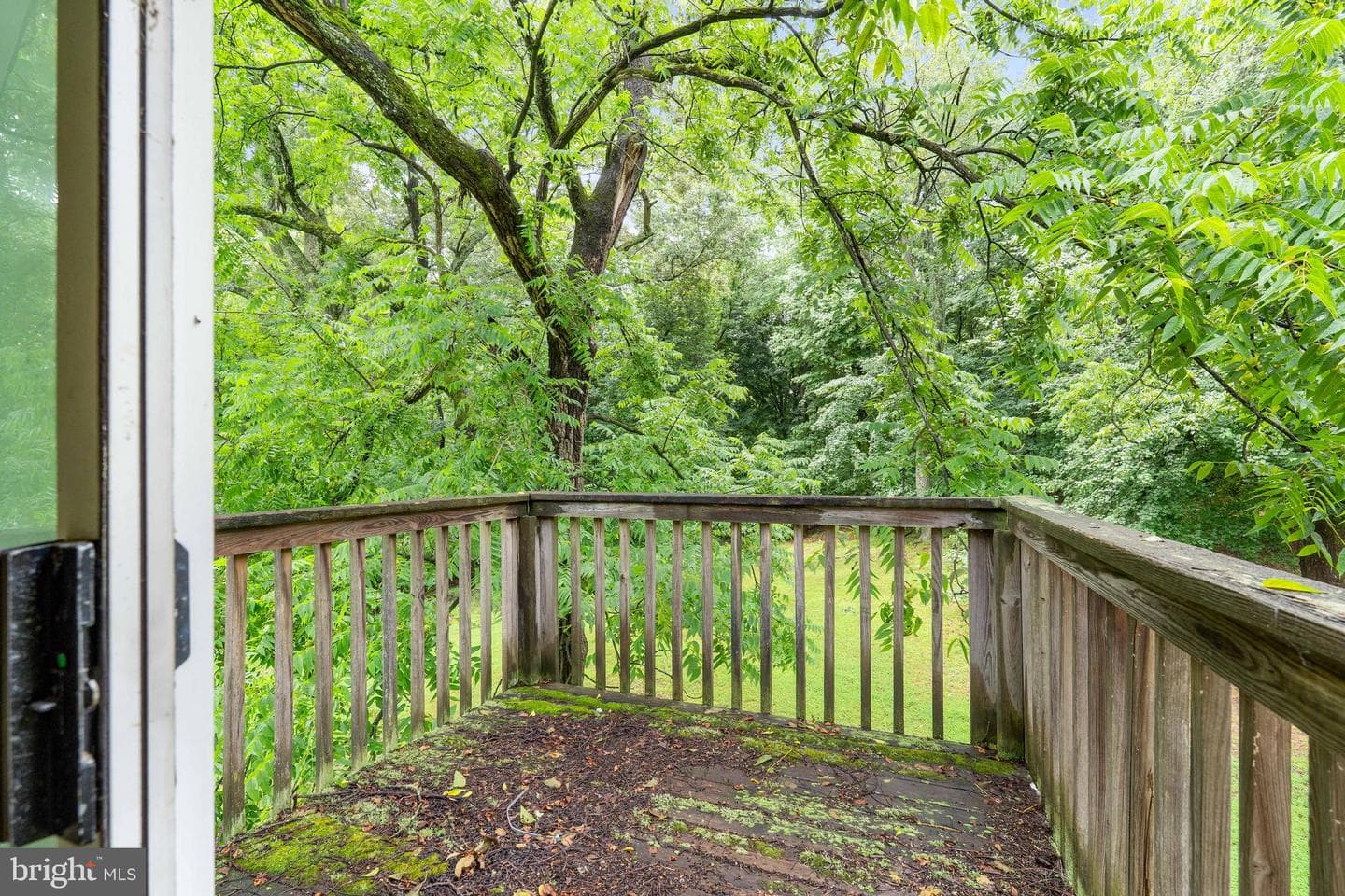 906 Old Elk Neck Road photo 30