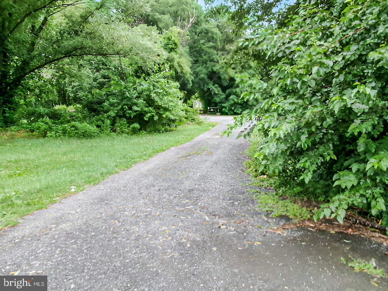 43 Frances Drive photo 15