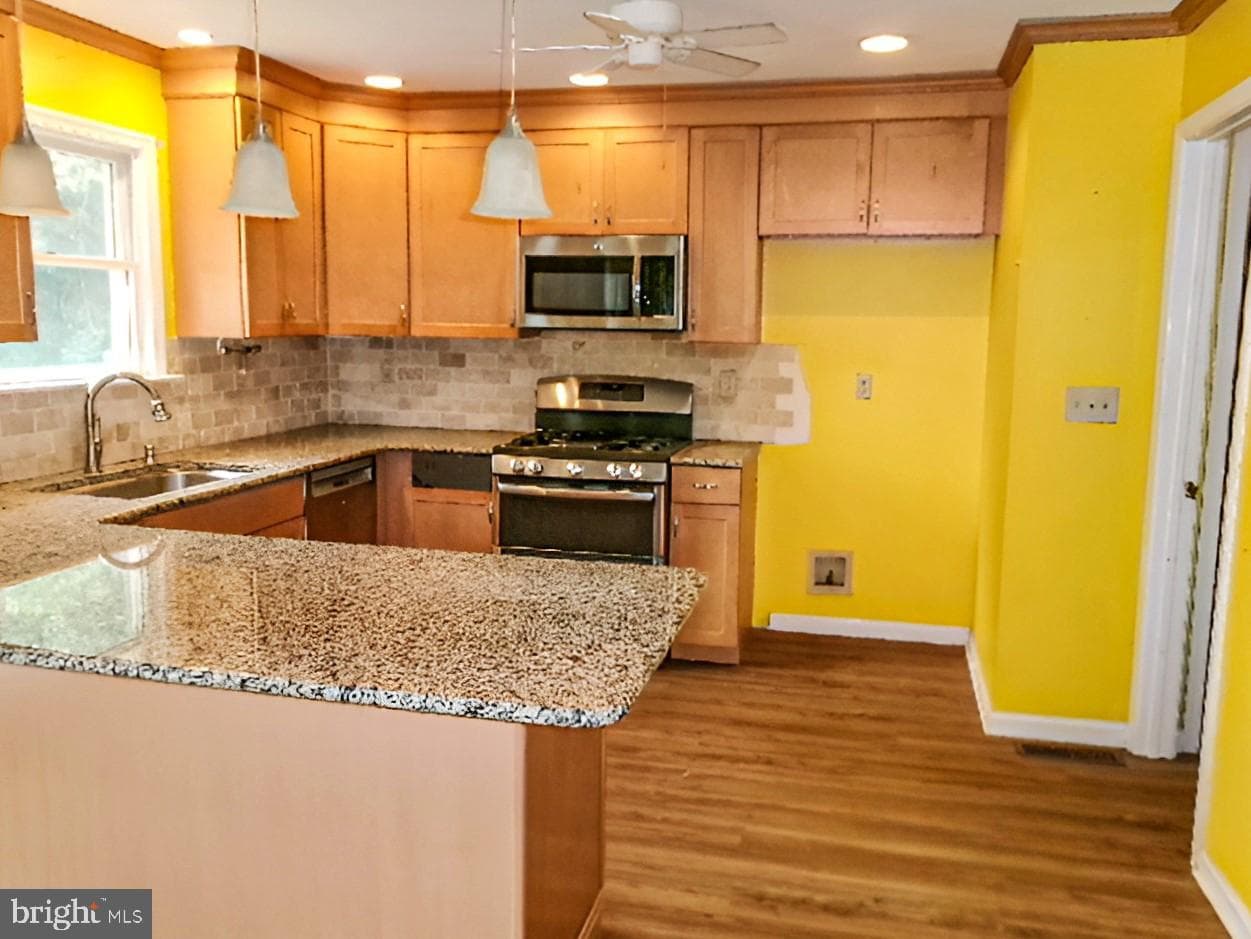 43 Frances Drive photo 24