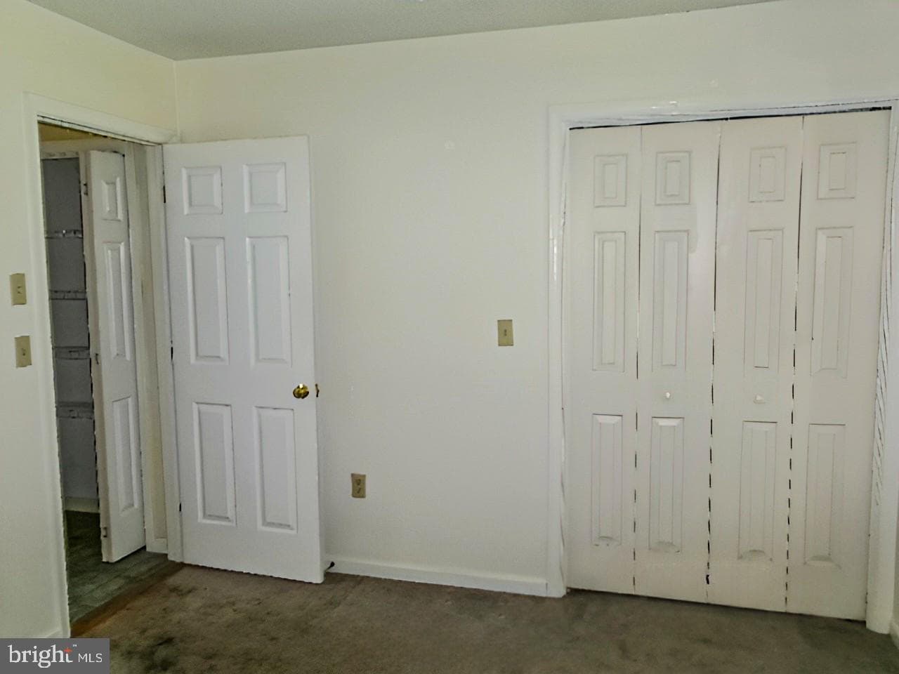 43 Frances Drive photo 28
