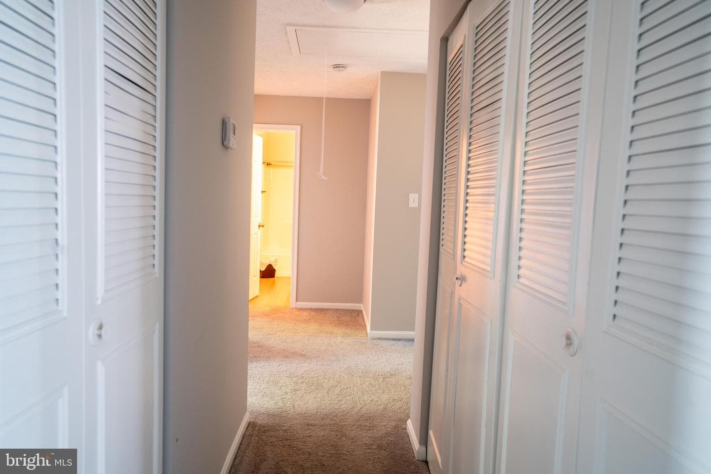 3539 Smokethorn Court photo 23