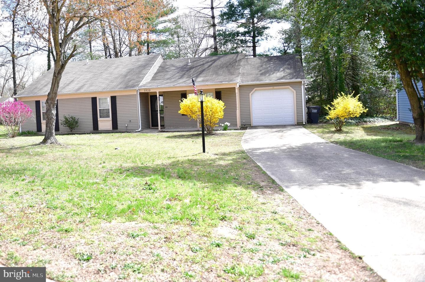 3539 Smokethorn Court photo 3