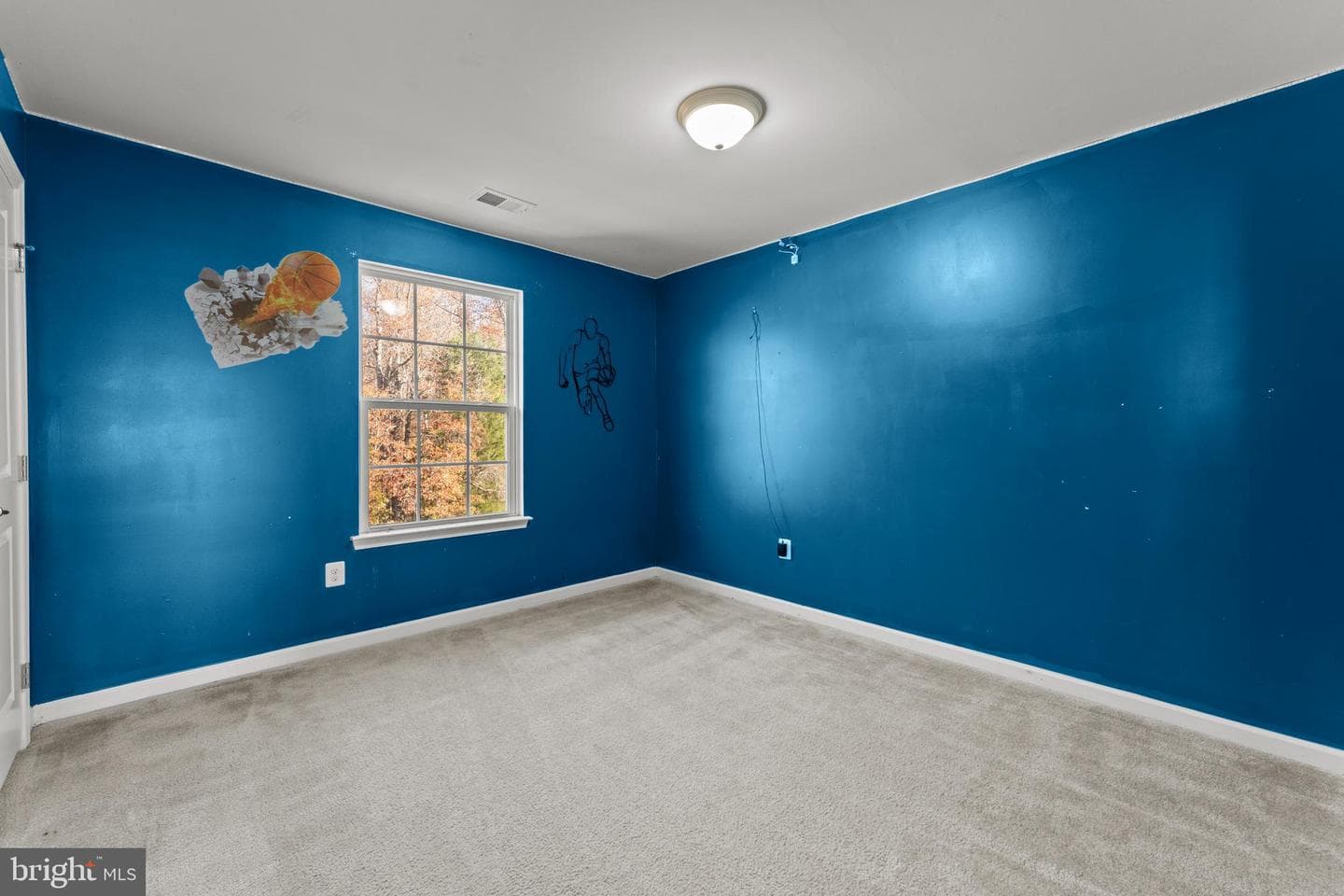 10568 Long Leaf Lane photo 18