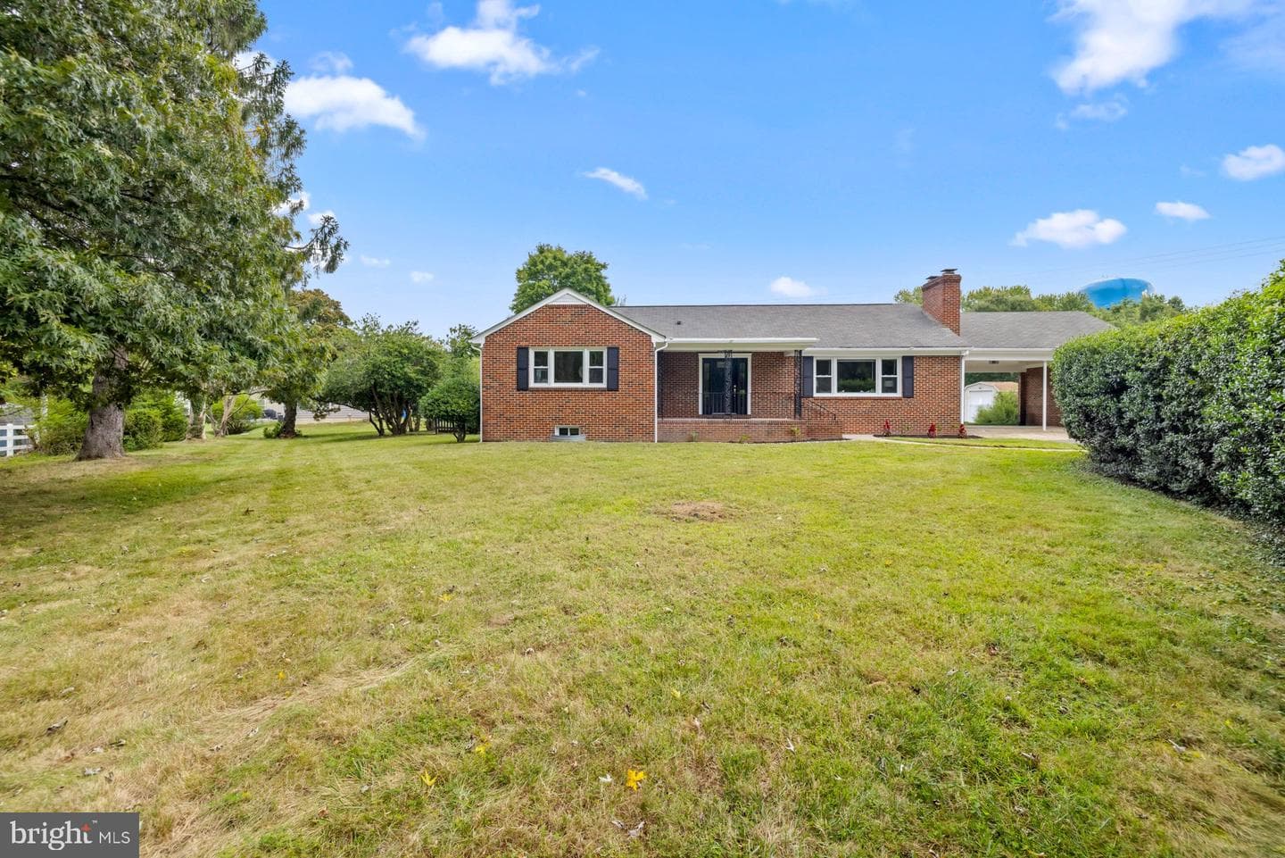 310 Spruce Street photo 39