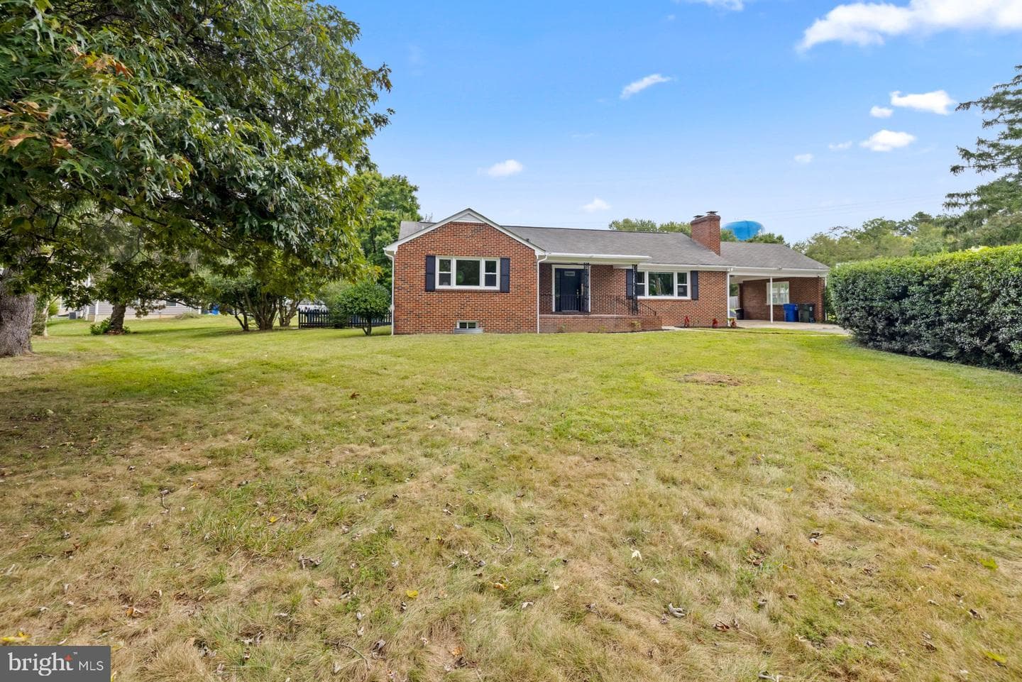 310 Spruce Street photo 43