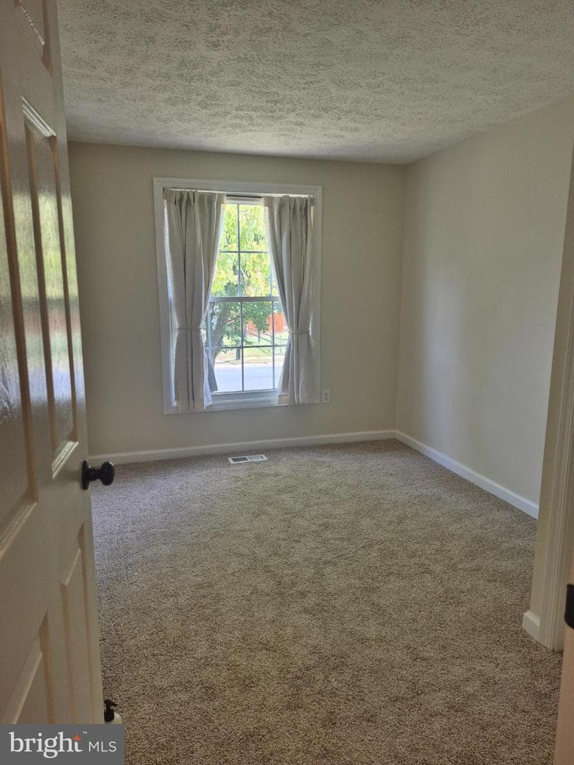 2217 Pinefield Way photo 26