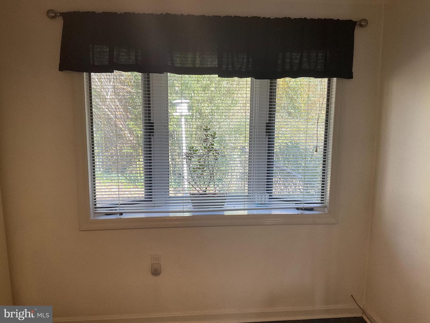 3203 Pinefield Circle photo 22