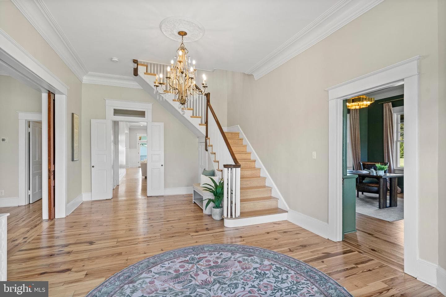 505 Washington Avenue photo 10