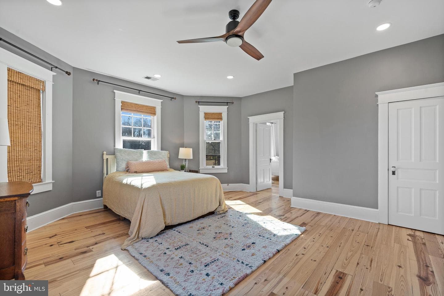 505 Washington Avenue photo 61