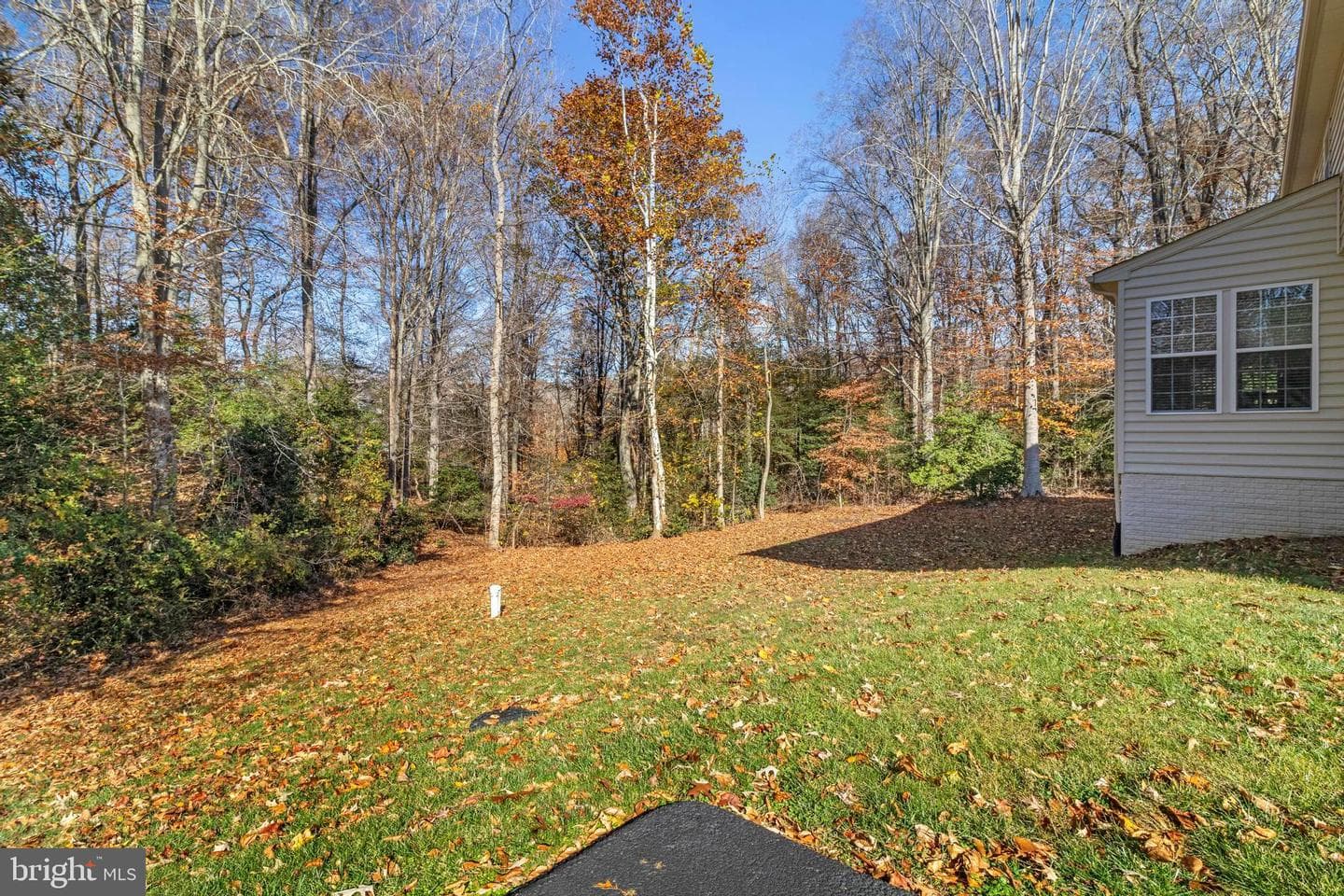 11505 Highland Farm Court photo 40