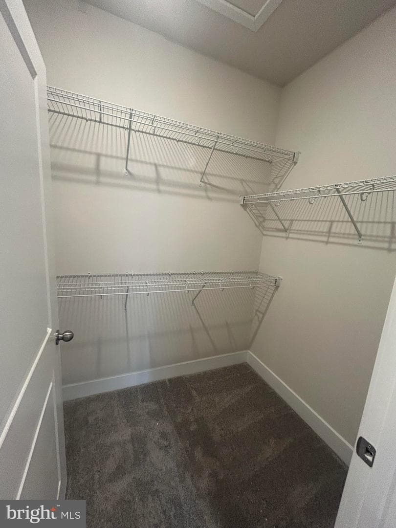 10618 Great Basin Pl photo 9