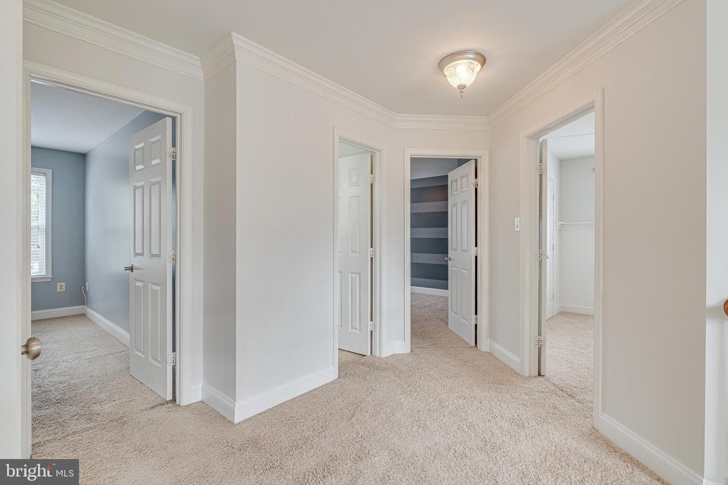 3023 Wildflower Drive photo 36
