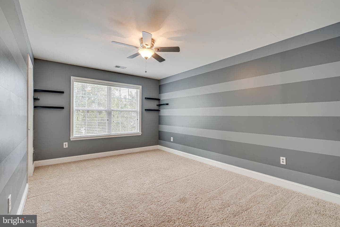 3023 Wildflower Drive photo 38