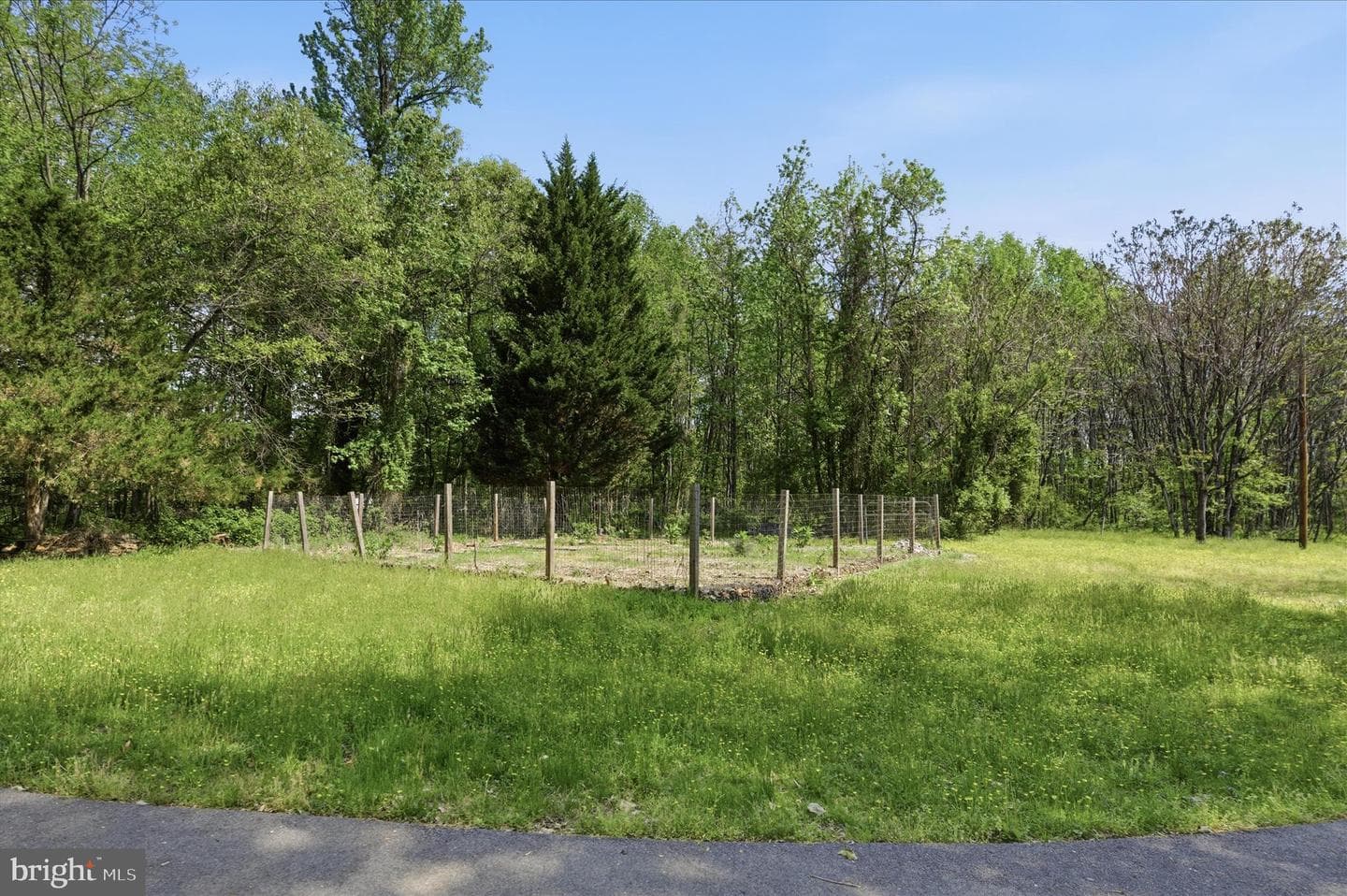 19 Walnut Hill Road photo 54