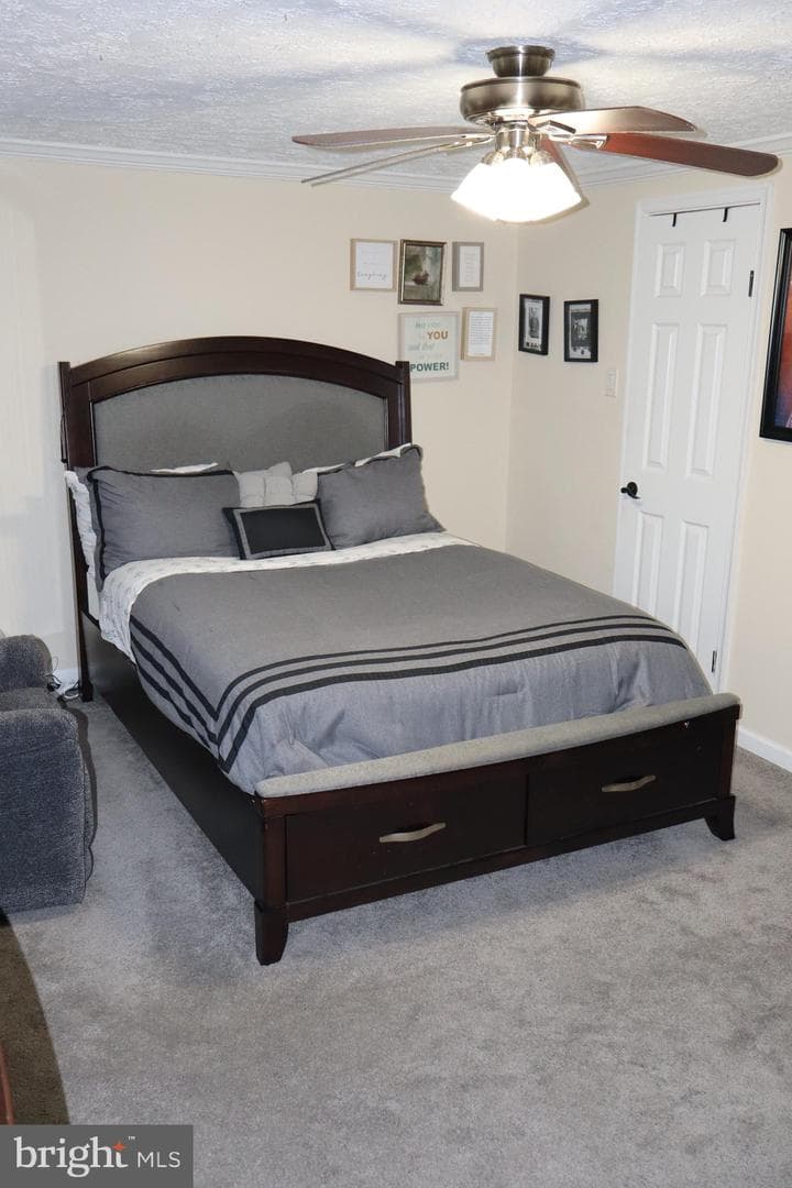 10916 Bridle Path Circle photo 18