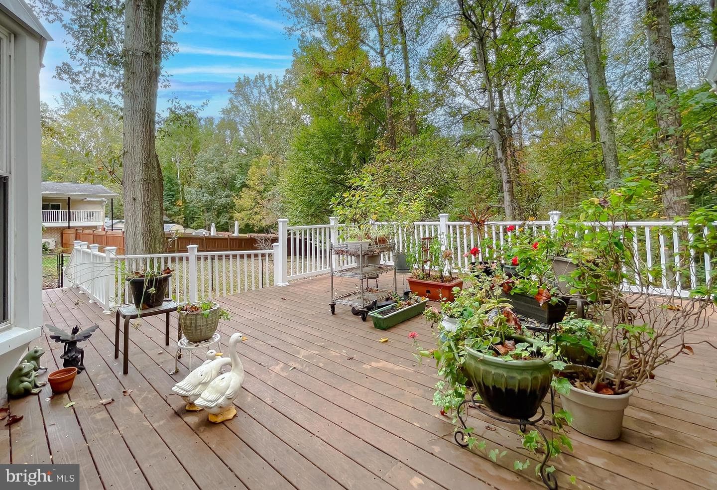 513 Clarks Run Road photo 36