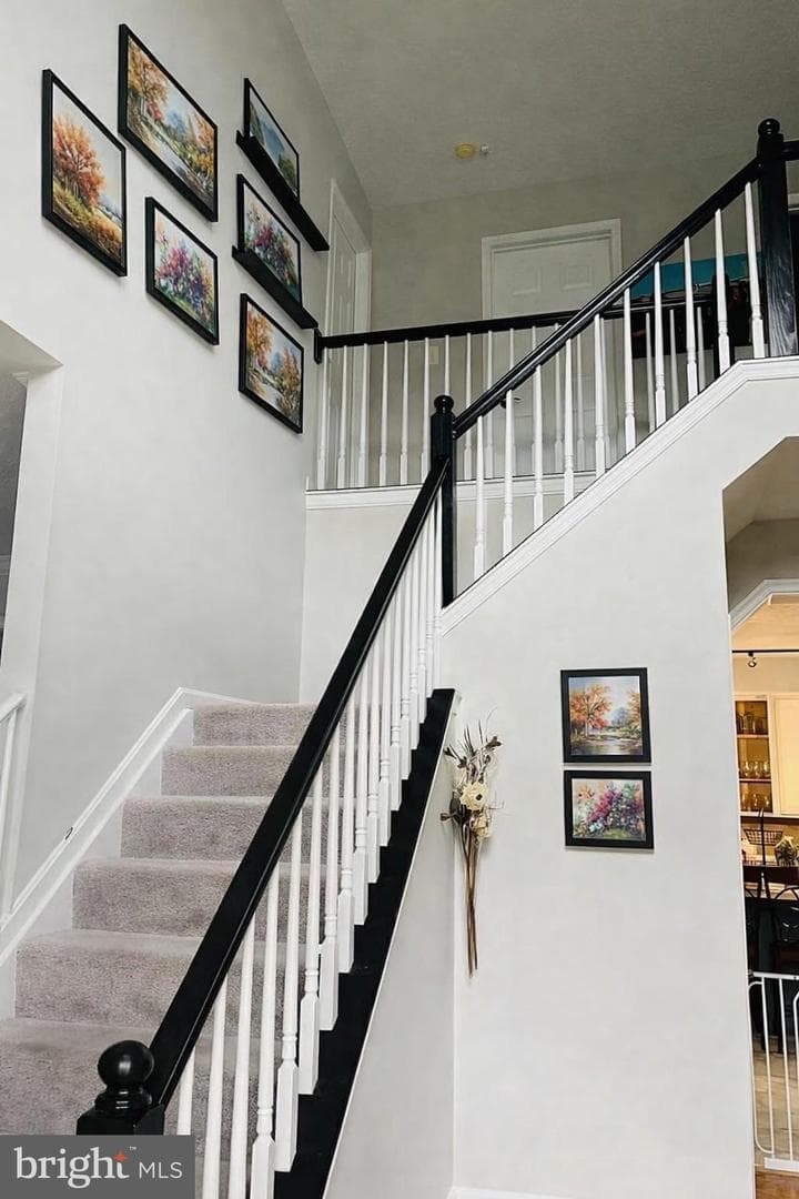 8789 Cottongrass Street, Waldorf